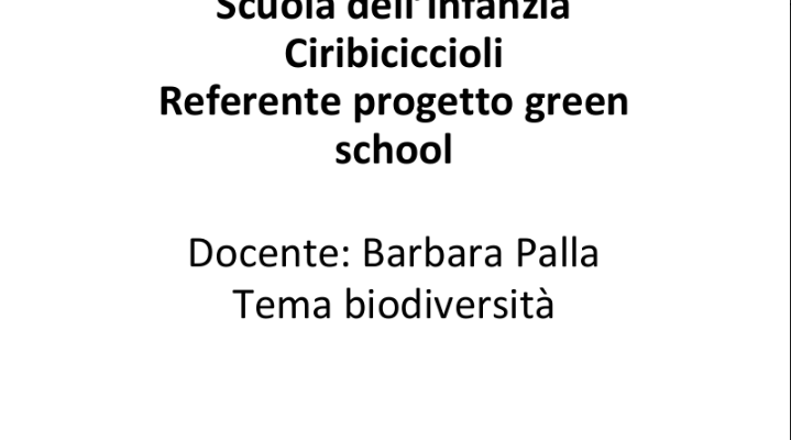 Green school Ciribiciccioli